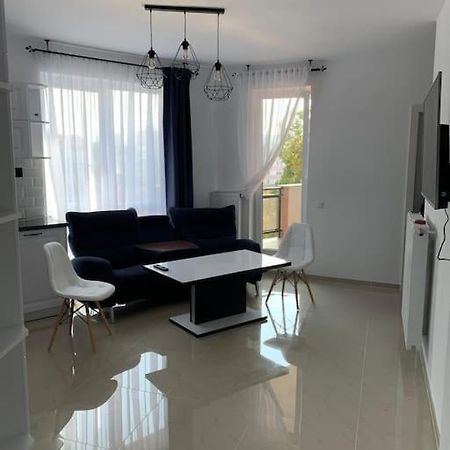 Cozy Apartment In The Center Of Cluj-Napoca Esterno foto