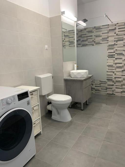 Cozy Apartment In The Center Of Cluj-Napoca Esterno foto