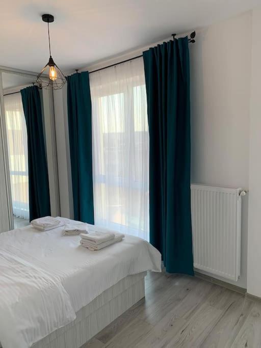 Cozy Apartment In The Center Of Cluj-Napoca Esterno foto